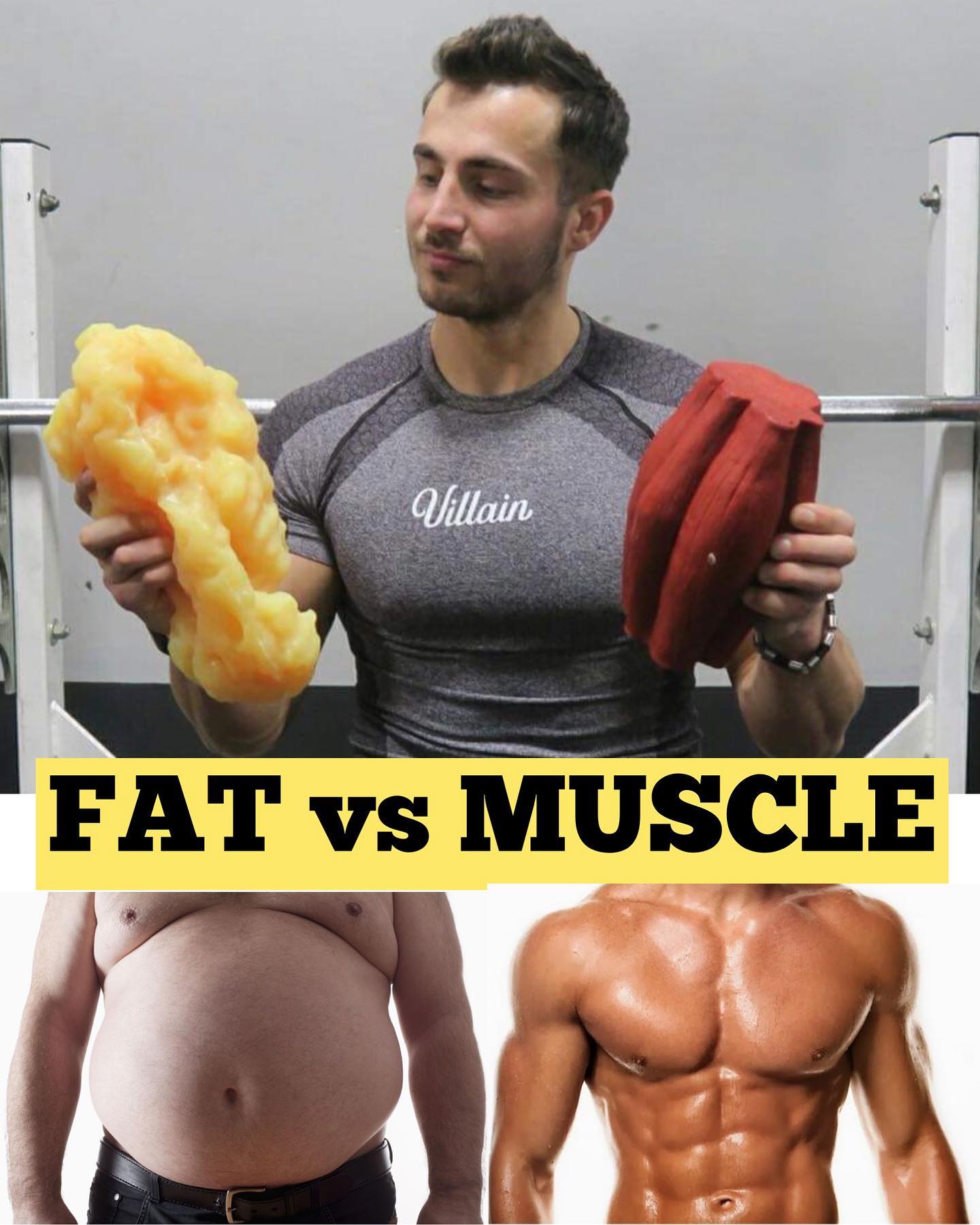 The difference between fat and muscle